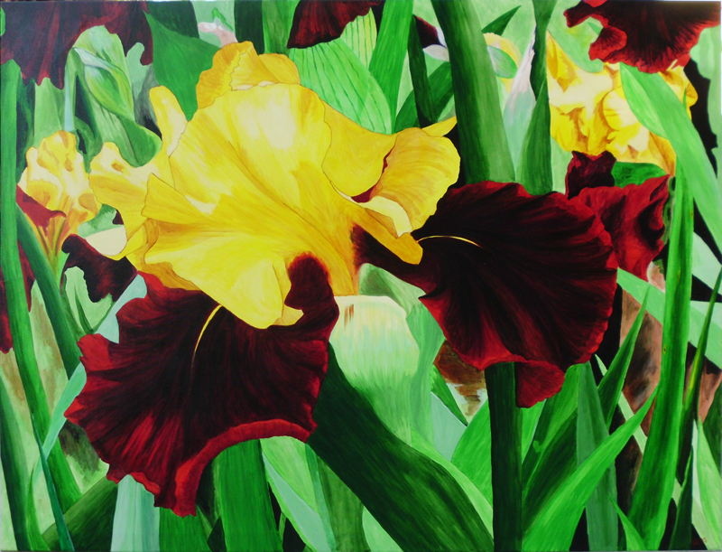 Big Iris painting 01