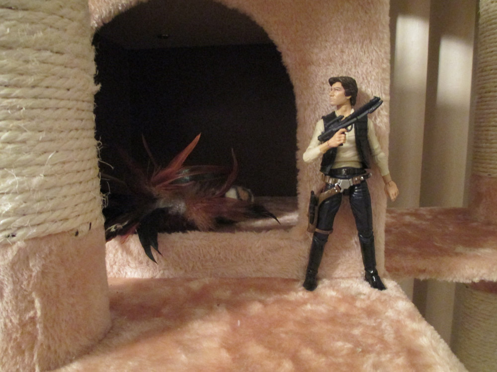 Star Wars Han Solo 05 1000w